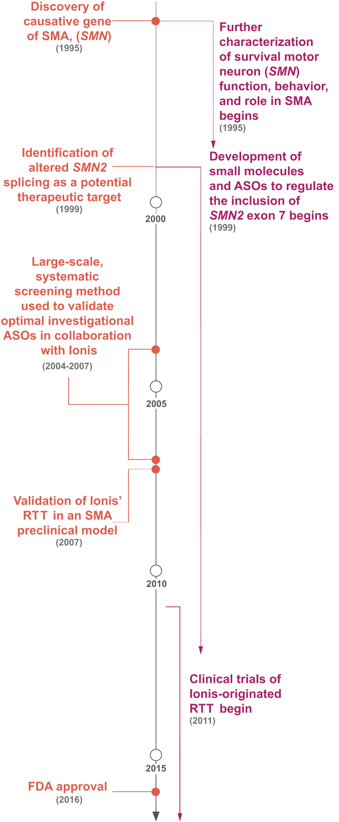 ASOs Were Screened for the Optimal Target